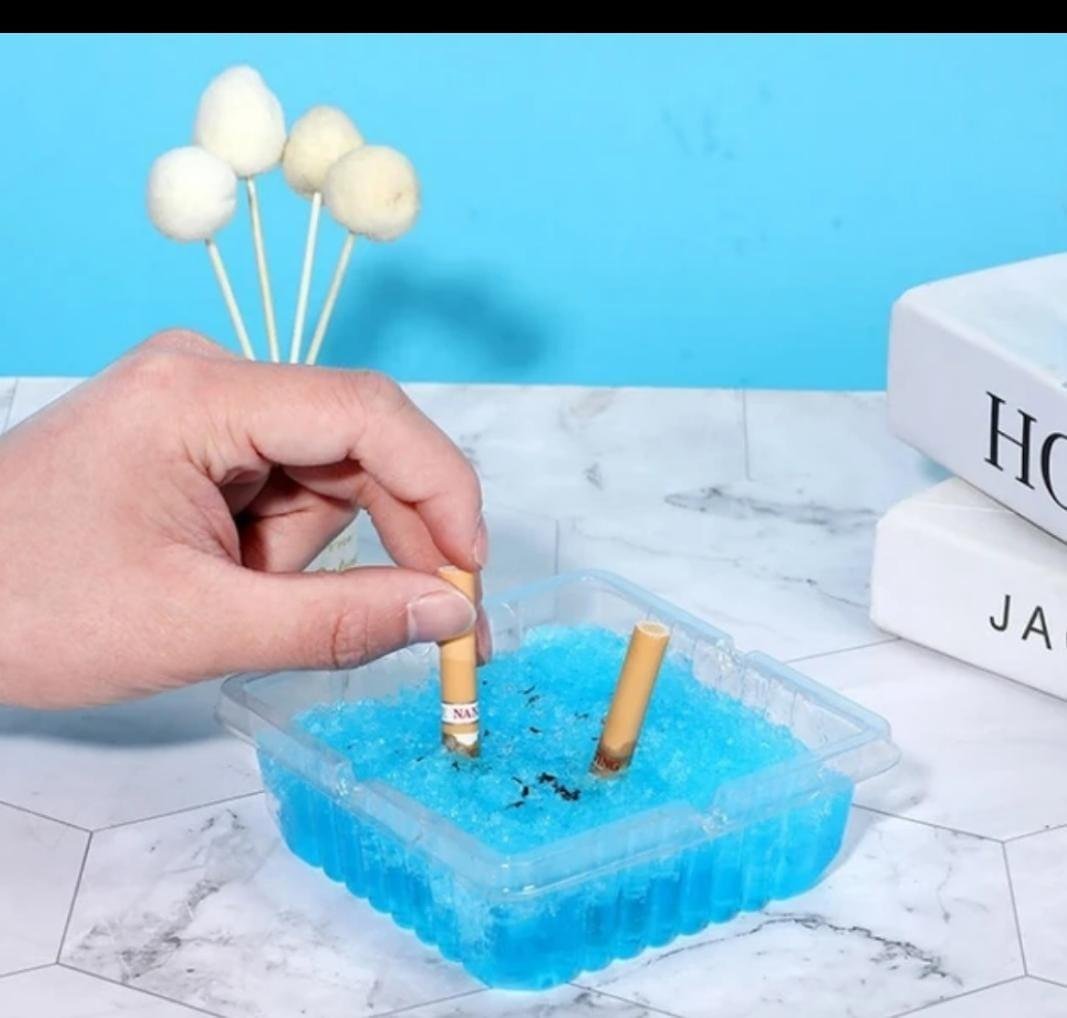 Disposable Ashtray